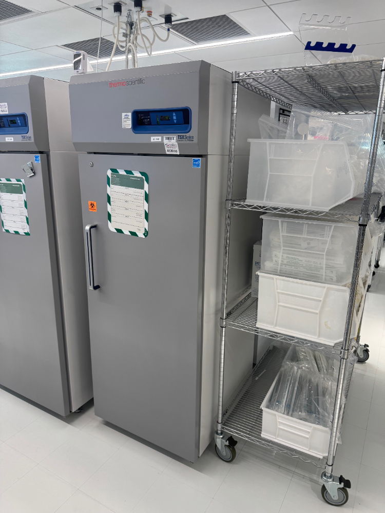 Image of Thermo TSX Series -20C Freezer